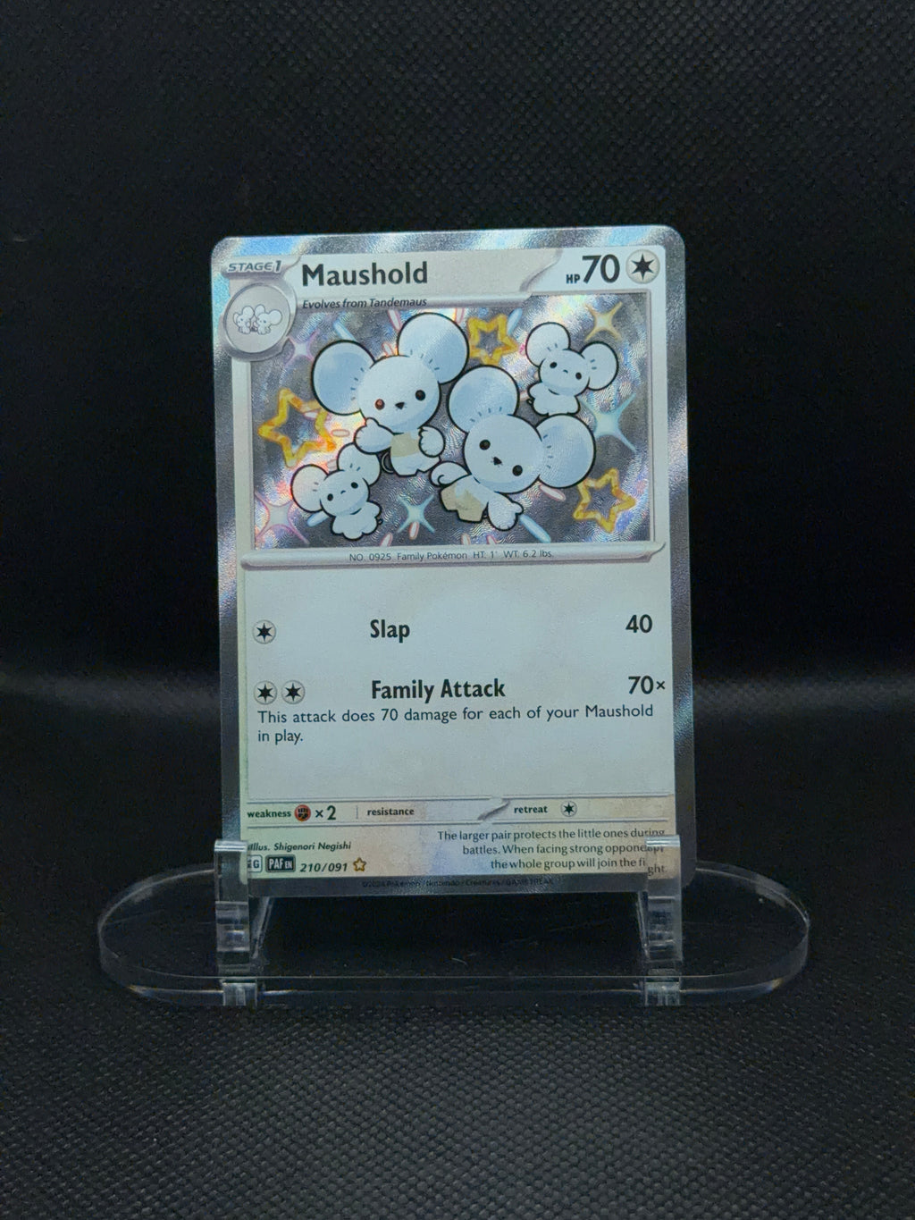 Maushold - Paldean Fates - 210/091
