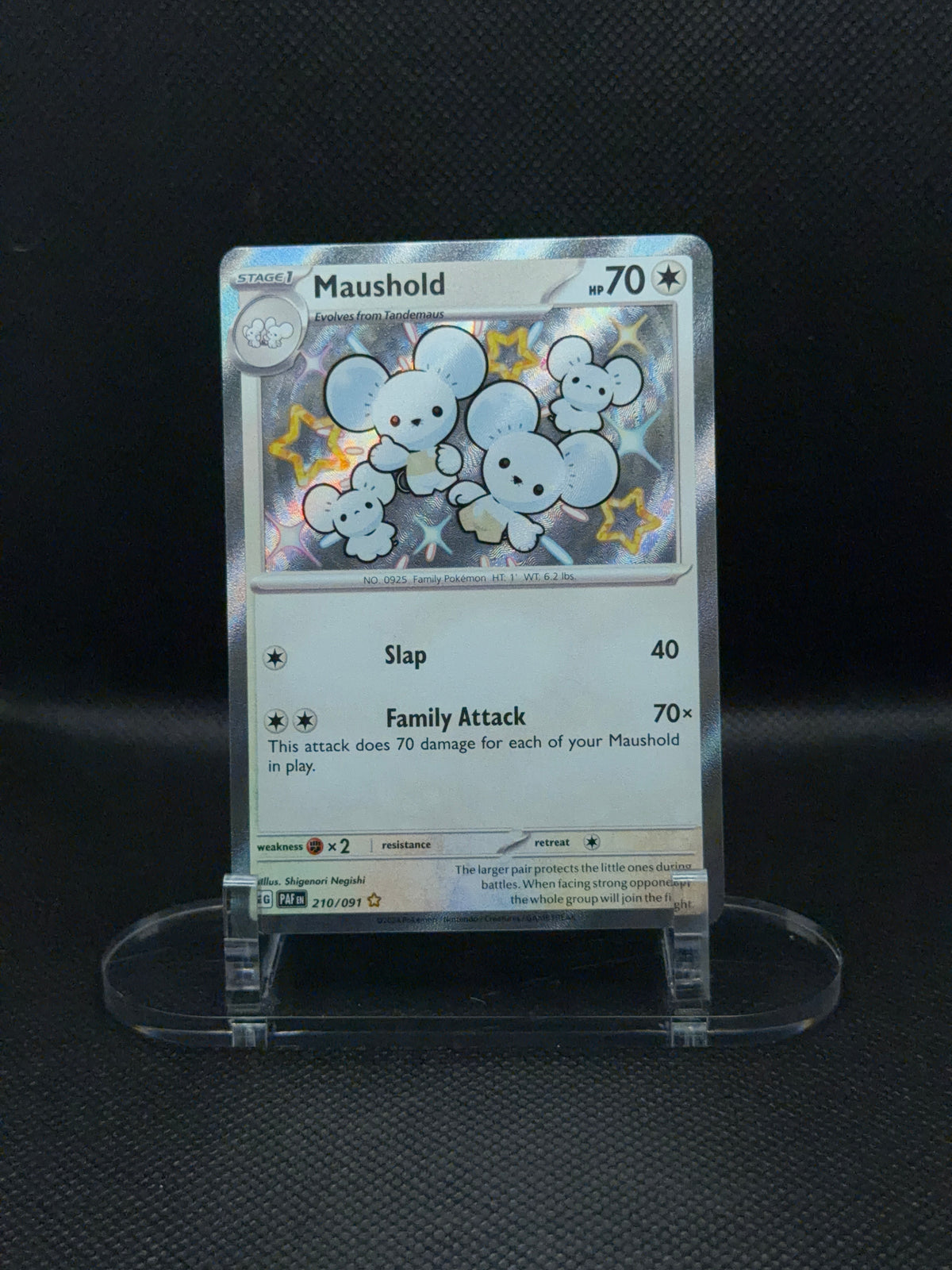 Maushold - Paldean Fates - 210/091