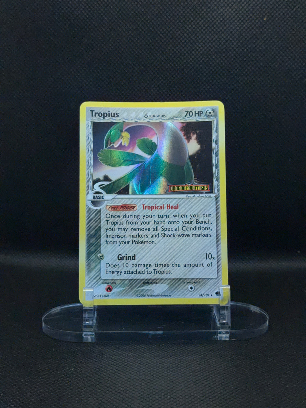 Tropius - EX Dragon Frontiers - 23/101 (stamped)