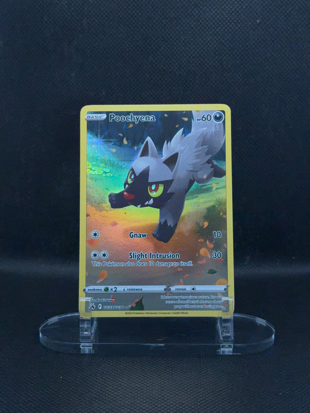 Poochyena - Crown Zenith - GG33/GG70