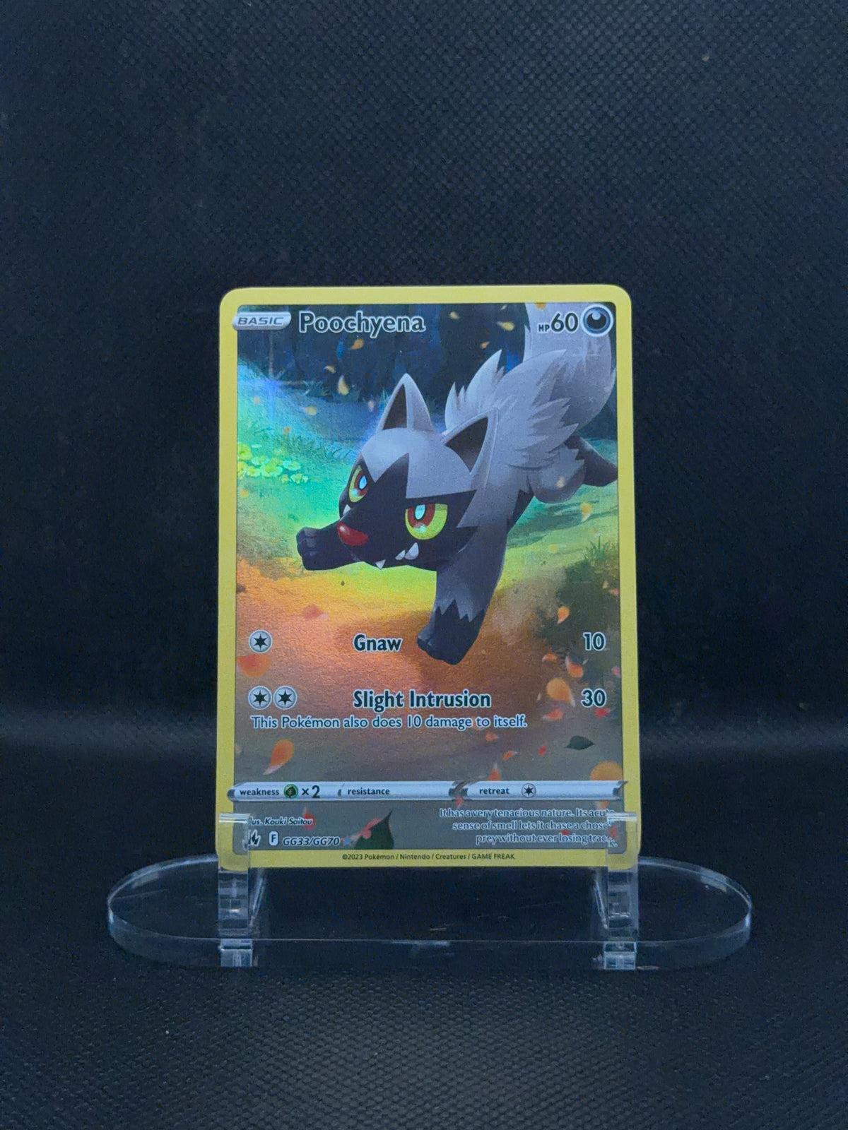 Poochyena - Crown Zenith - GG33/GG70