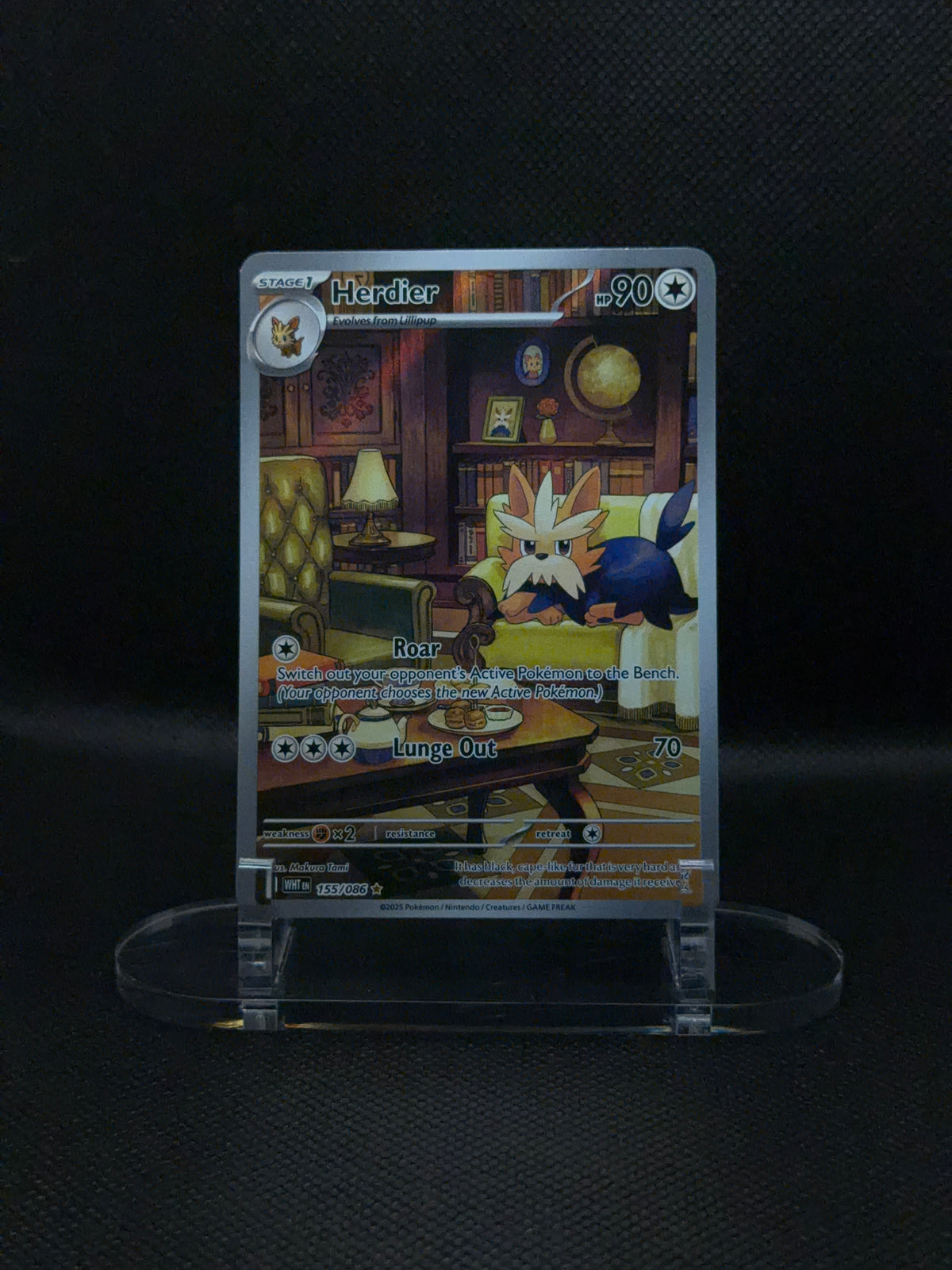 Herdier - White Flare - 155/086