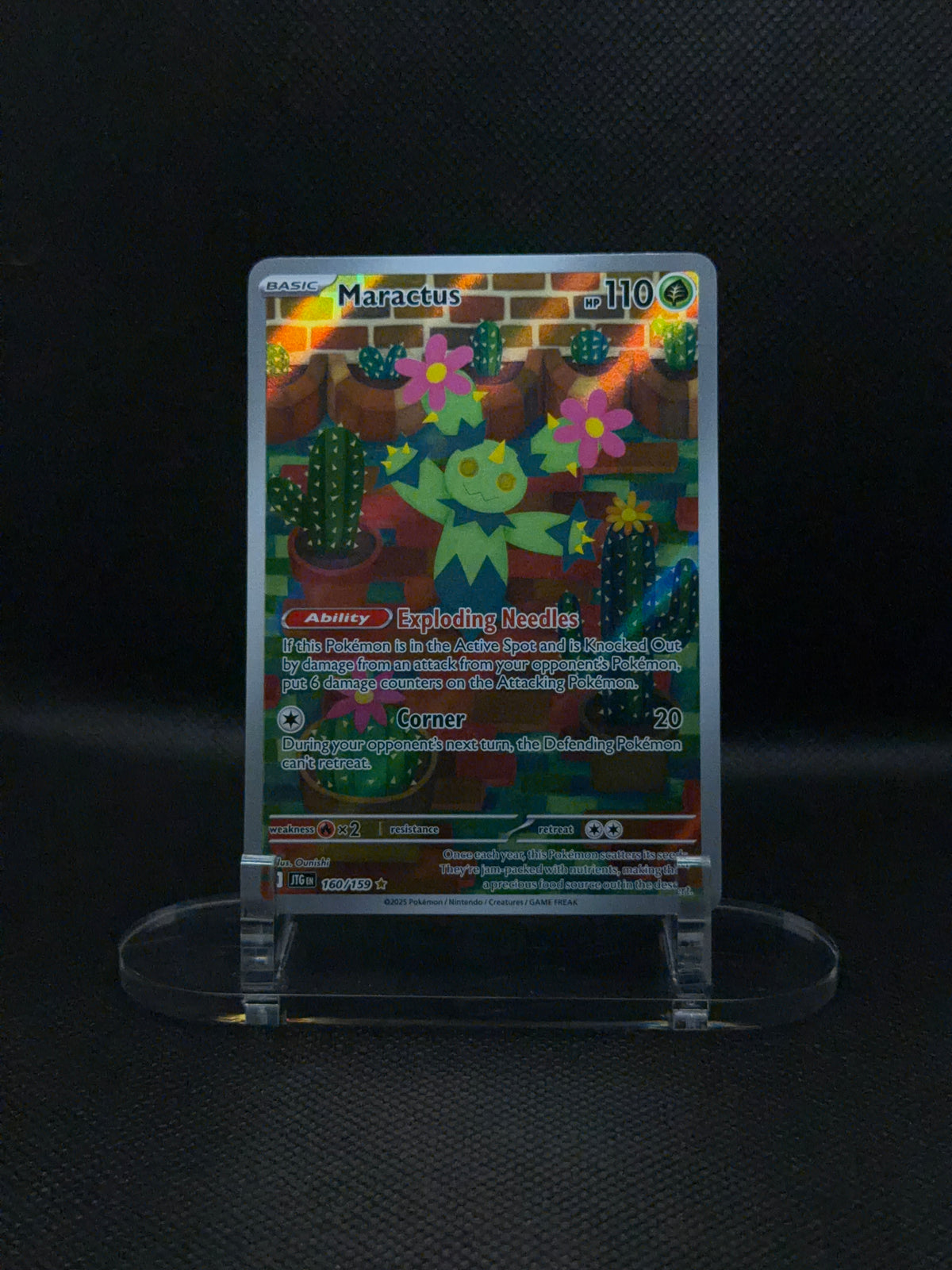 Maractus - Journey Together - 160/159